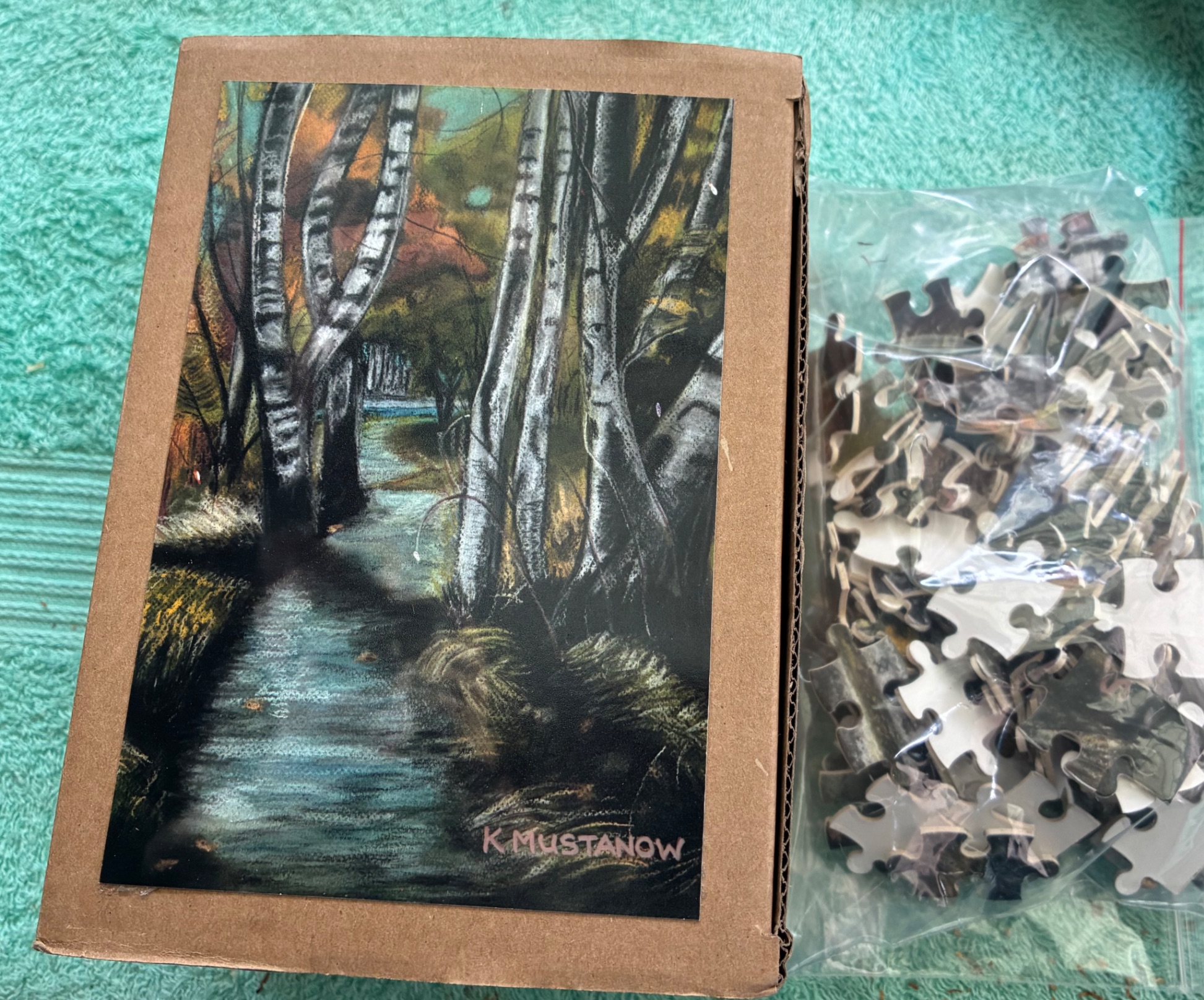 Jigsaw puzzle box and pieces featuring Birch Forest Stream by Kat Mustanow